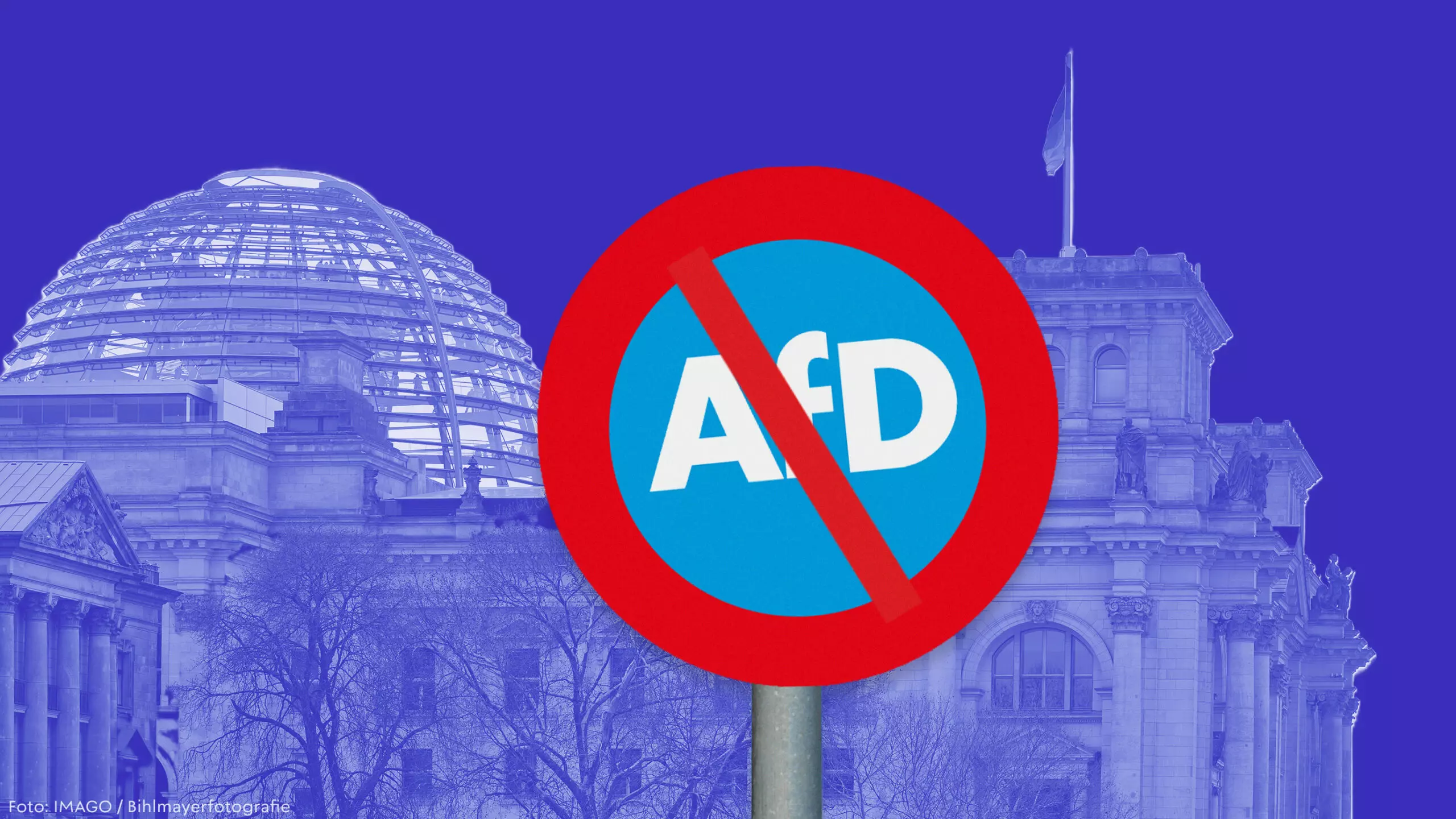 AfD-Verbot jetzt auf den Weg bringen