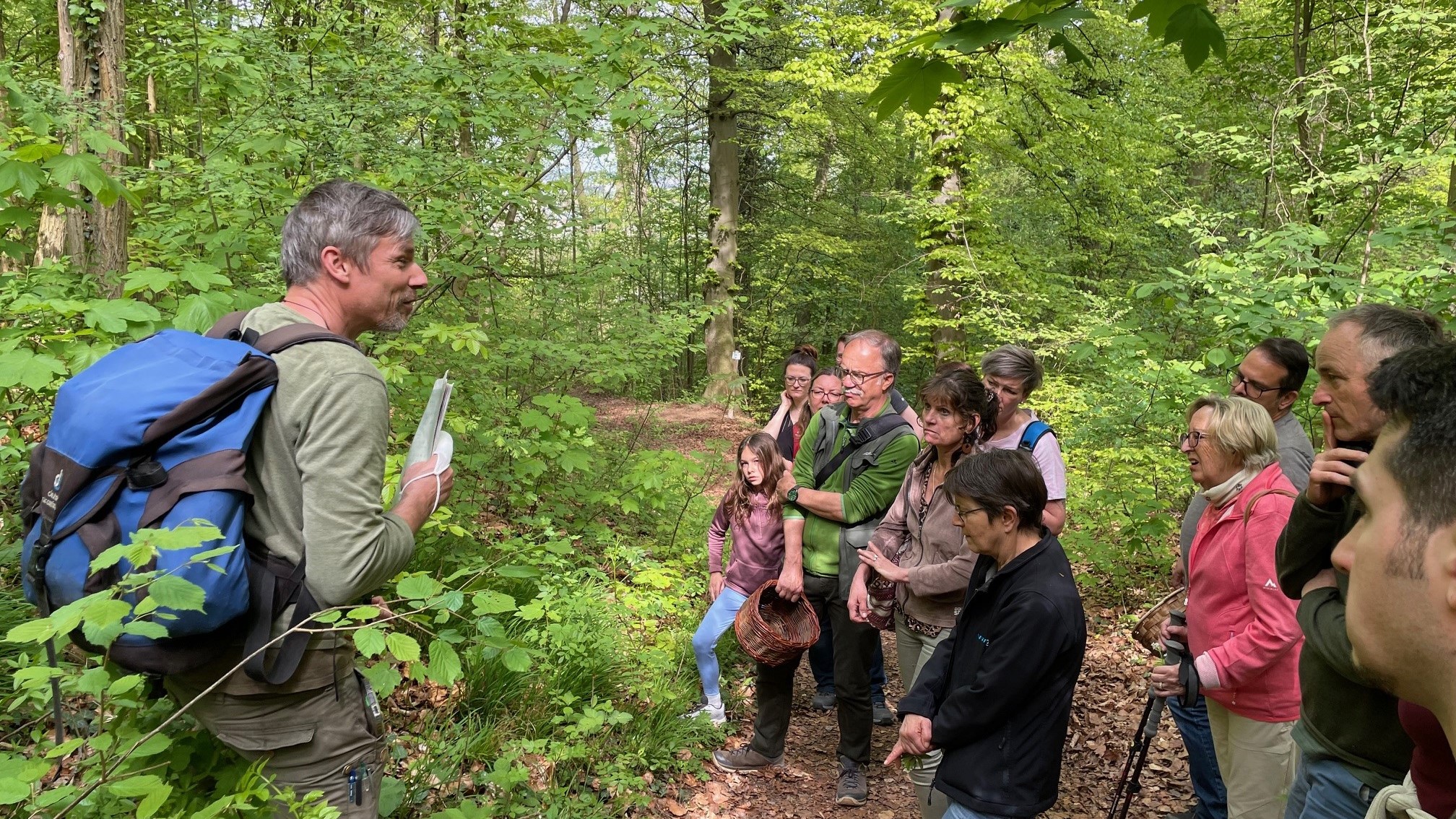 Kräuterwanderungen mit allen Sinnen